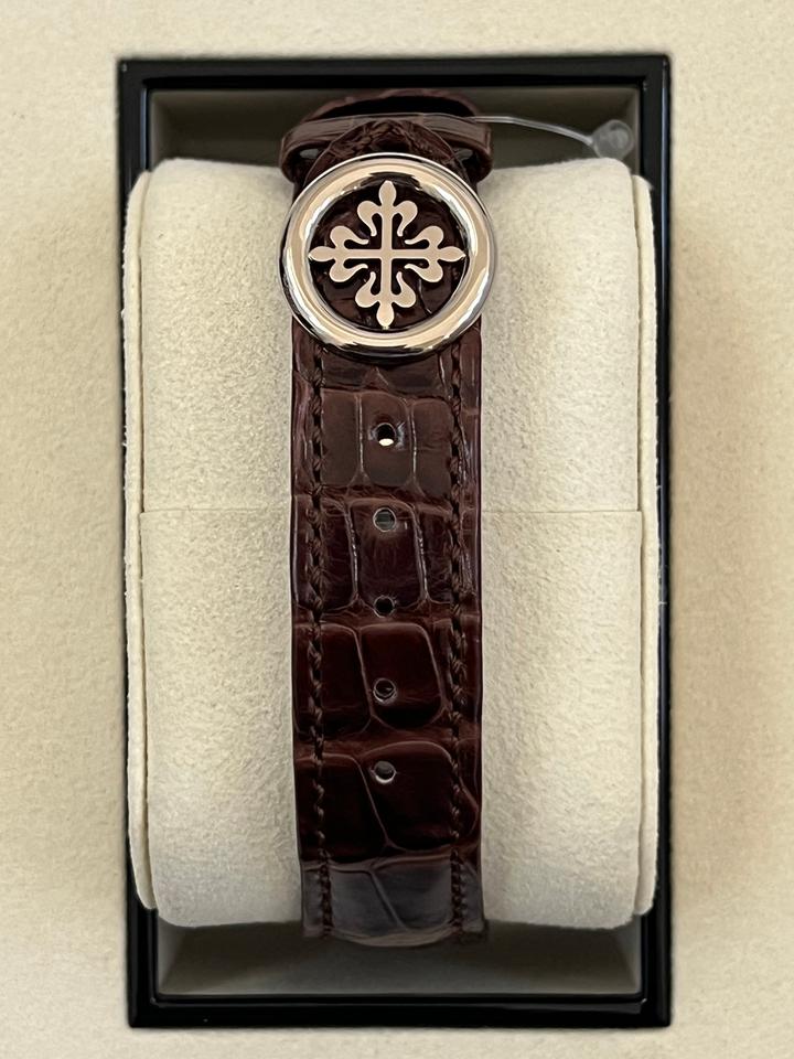 Patek Philippe Complications Chronograph 5172G-010 – Salmon Dial