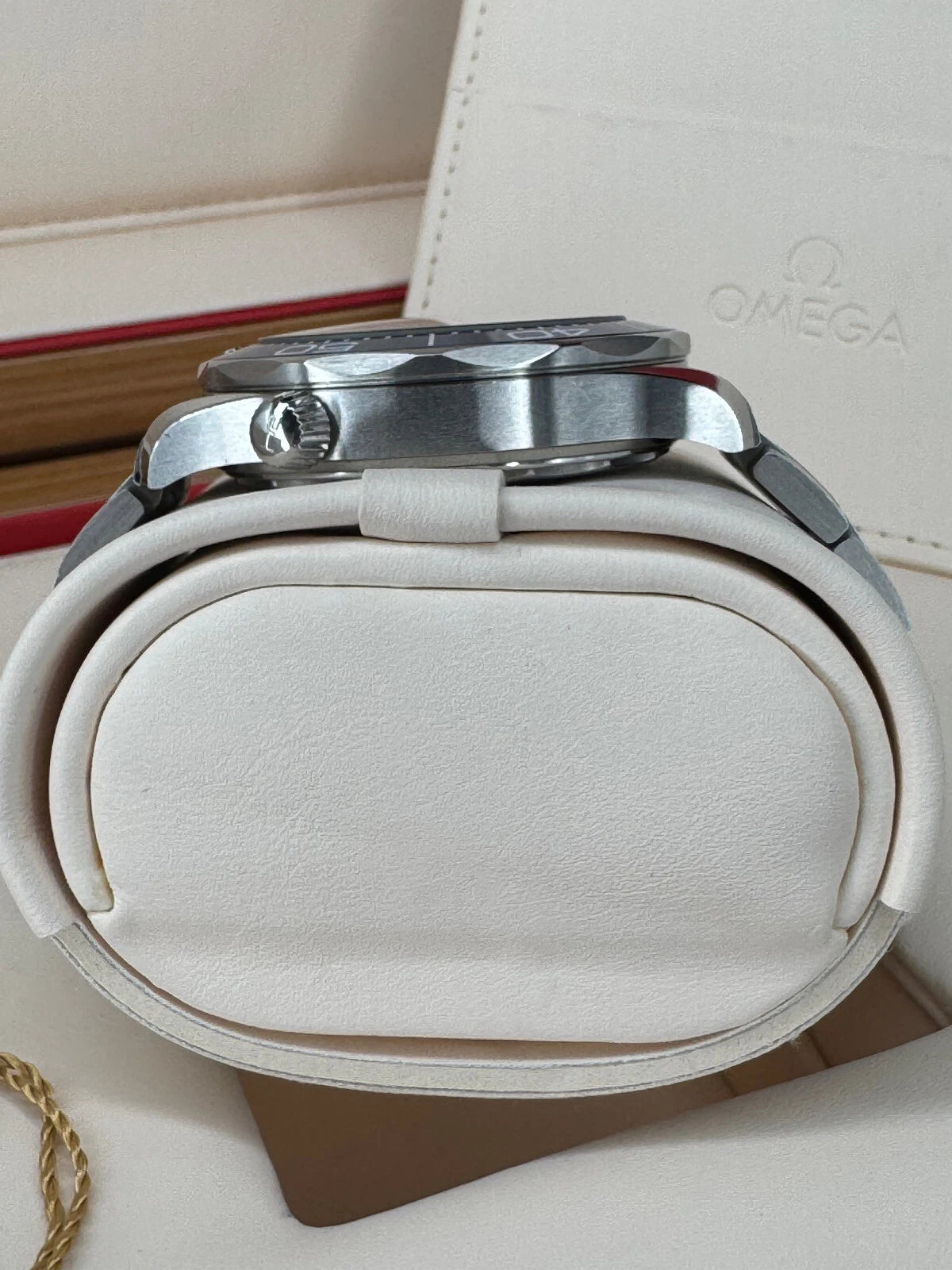 Omega Seamaster Diver 300M 210.30.42.20.06.001 – Grey Dial
